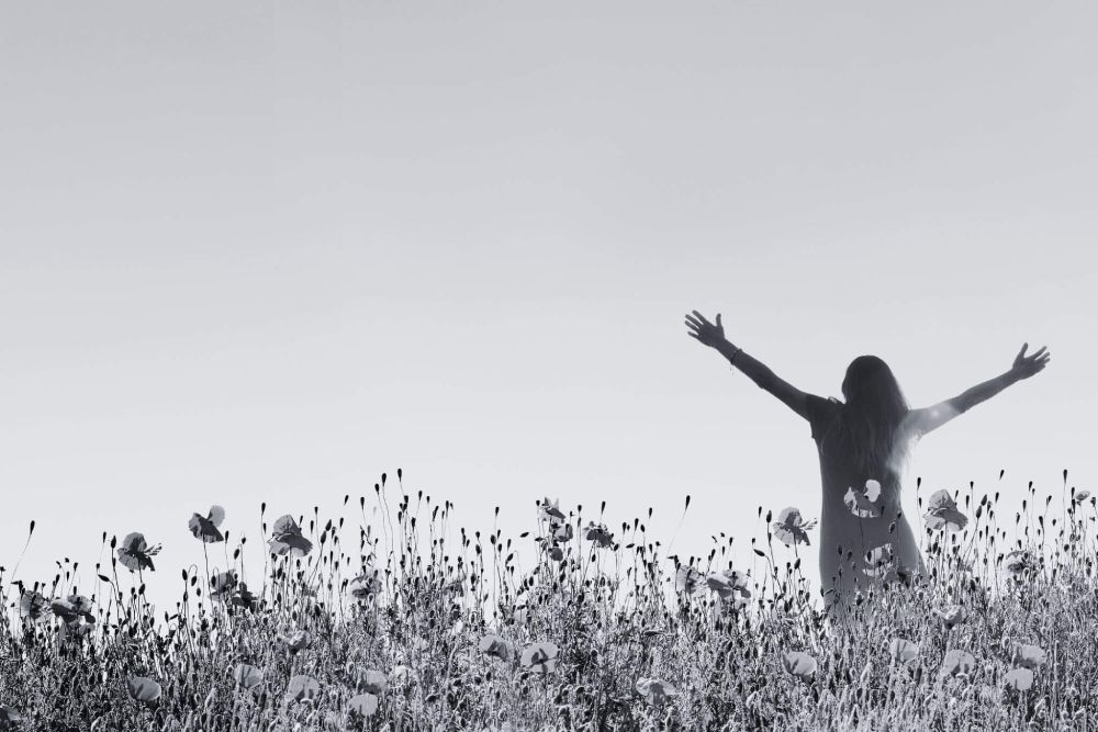 zivljeneje-v-ravnovesju